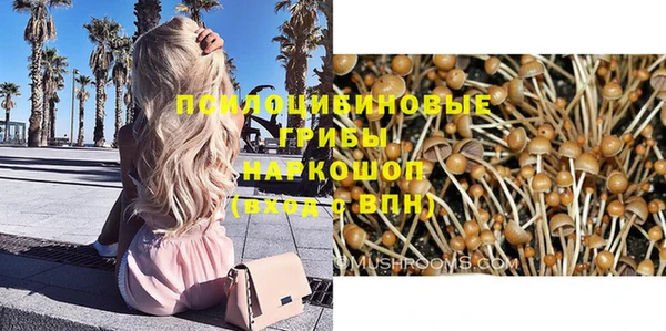 МДМА Абаза