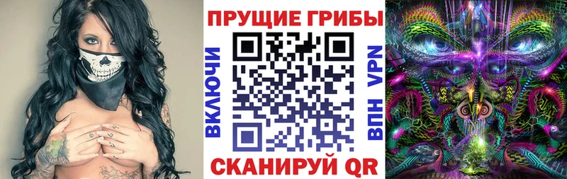 Галлюциногенные грибы Psilocybe  Циолковский 